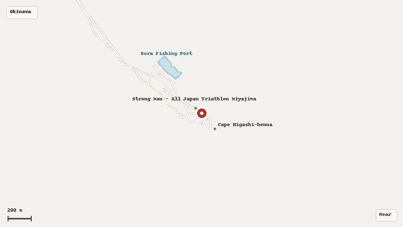 Map of the area around Cape Higashi-Hennazaki in Okinawa